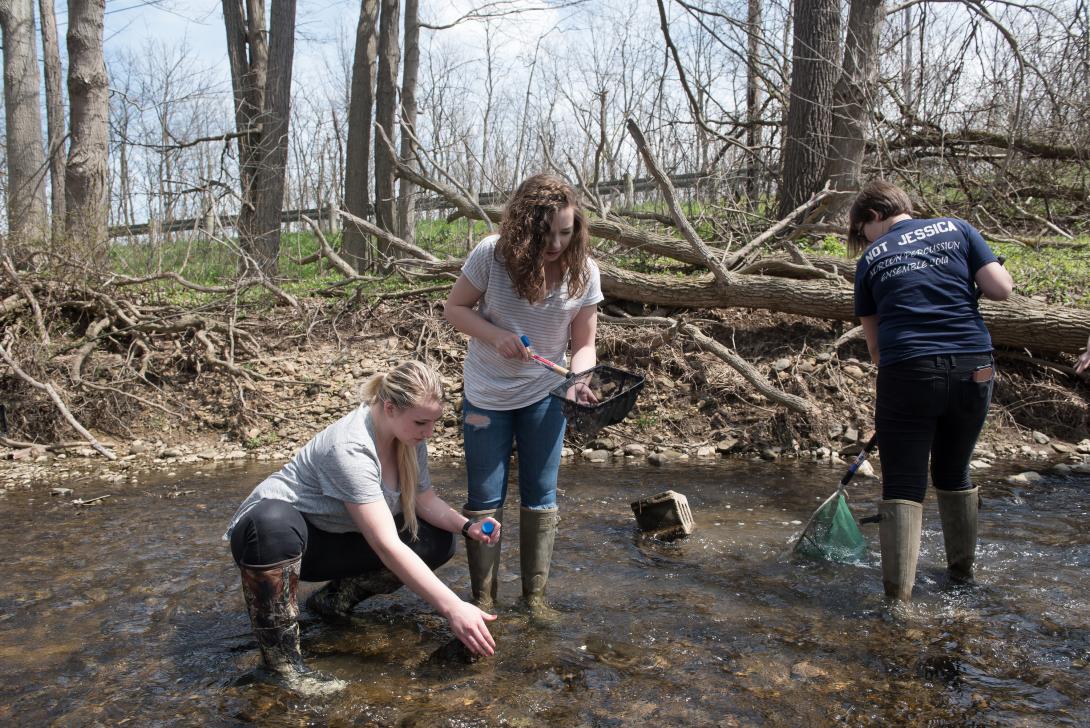 Students doing stream clean-up at Canfield preserve