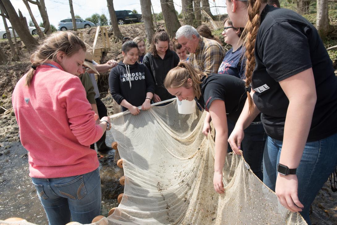 Students examine net after going through stream at Canfield Preserve